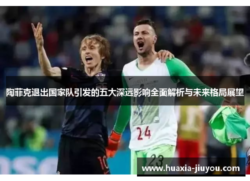 陶菲克退出国家队引发的五大深远影响全面解析与未来格局展望