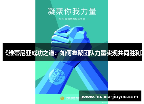 《维蒂尼亚成功之道:如何凝聚团队力量实现共同胜利》 《维蒂尼亚成功之道:如何凝聚团队力量实现共同胜利》