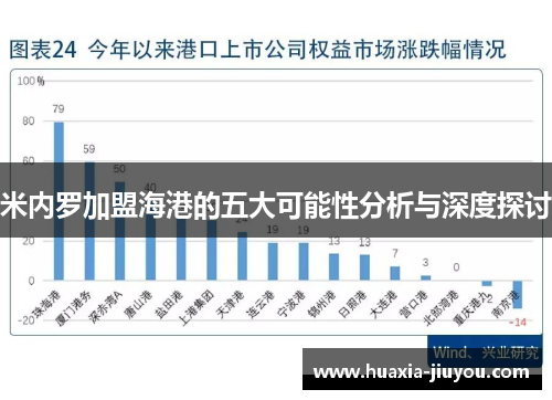 米内罗加盟海港的五大可能性分析与深度探讨 米内罗加盟海港的五大可能性分析与深度探讨